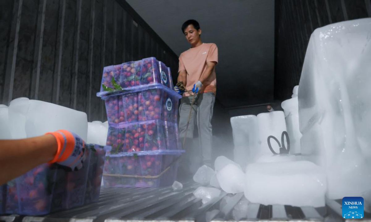 Workers load boxes of lychees onto a cold-chain truck with ice at a company in Gaozhou City, south China's Guangdong Province, June 4, 2025. Chinese lychees are winning over more fans abroad due to the cold-chain technology and air transportation. In the United Arab Emirates, with a 48-hour transportation process from picking to marketing, Chinese lychees boarded the shelves of supermarkets still with fresh fragrance. Every week, four tons of Chinese lychees are transported in two shipments by air from south China's Guangdong to Dubai and sold out in just three days. These lychees, across thousands of miles, have become a fresh and sweet business card for China on the tables of local consumers. (Xinhua/Mao Siqian)