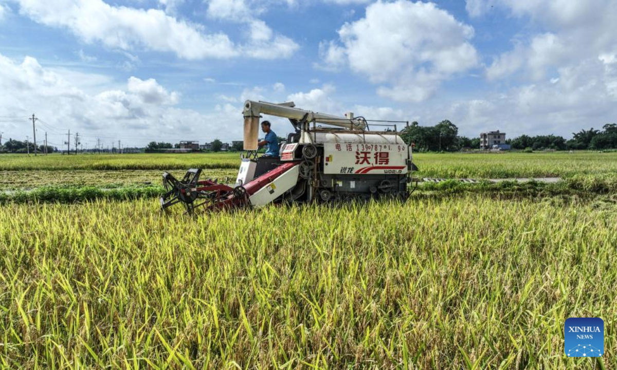 A drone photo taken on July 2, 2025 shows a farmer driving a harvester reaping rice in Banping Village in Kangxiling Town of Qinzhou City, south China's Guangxi Zhuang Autonomous Region. Early rice harvest is in full swing here. (Xinhua/Zhang Ailin)