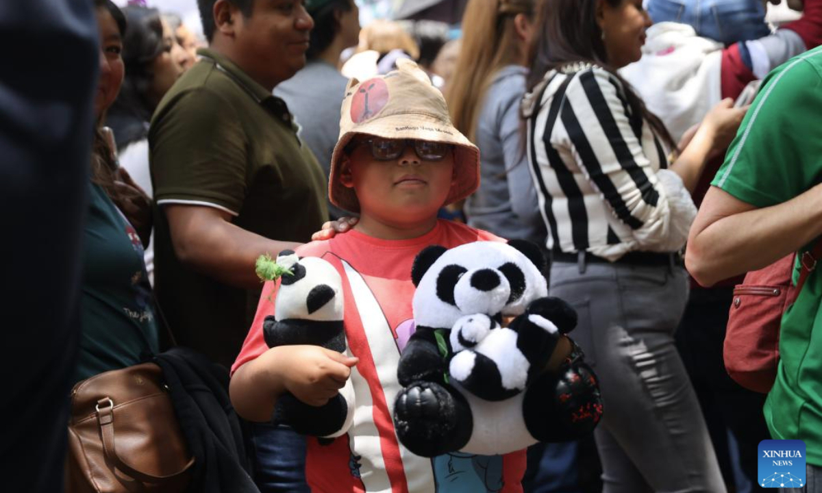 A visitor holds a toy panda at the birthday party for Giant panda Xin Xin, at Chapultepec Zoo in Mexico City, capital of Mexico, on June 29, 2025. The celebration for giant panda Xin Xin's 35th birthday was held here on Sunday. The festivities included a traditional lion dance, an exhibition of panda-themed artwork, and a birthday cake ceremony, which drew large crowds in a lively atmosphere.

In 1975, the Chinese government gifted two giant pandas, Ying Ying and Pe Pe, to the Mexican government. Their descendant, Xin Xin, was born in Mexico on July 1, 1990. (Xinhua/Li Mengxin)