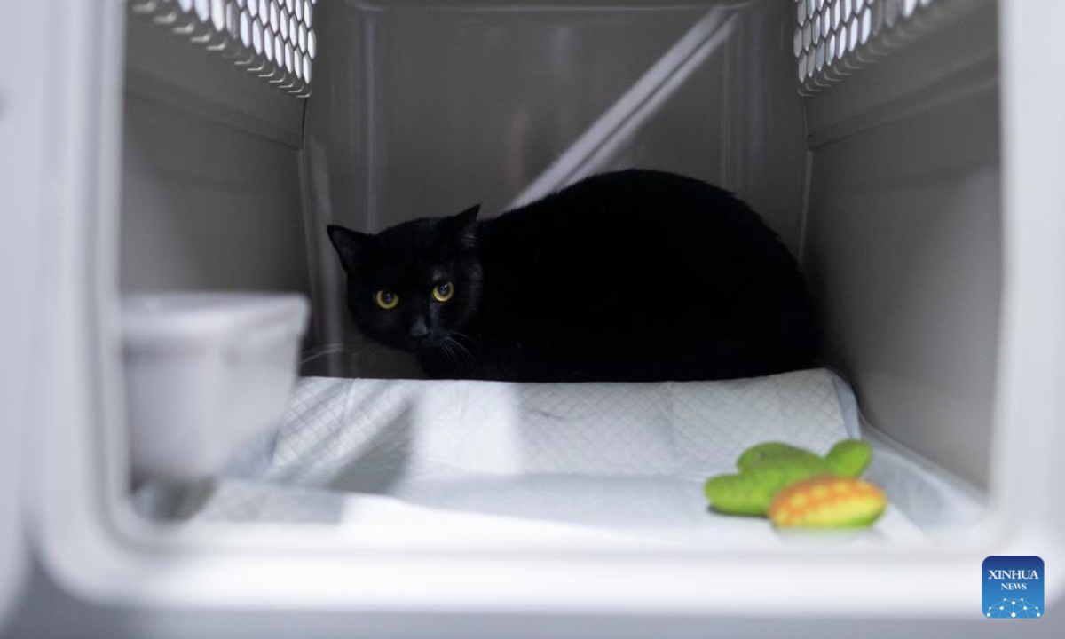 A pet cat is pictured in a transport case at Wuhan Railway Station in Wuhan, central China's Hubei Province, July 1, 2025. On the first day of this year's summer travel rush, some qualified domesticated cats and dogs boarded on bullet trains accompanying their owners in Wuhan on Tuesday, as the pilot pet consignment service on high-speed railways expanded its scope from June 20.

Each traveler is allowed to bring one healthy pet weighing no more than 15 kilograms and standing no taller than 40 centimeters at the shoulder, accompanied by a valid quarantine certificate, according to China State Railway Group Co., Ltd. (Xinhua/Wu Zhizun)
