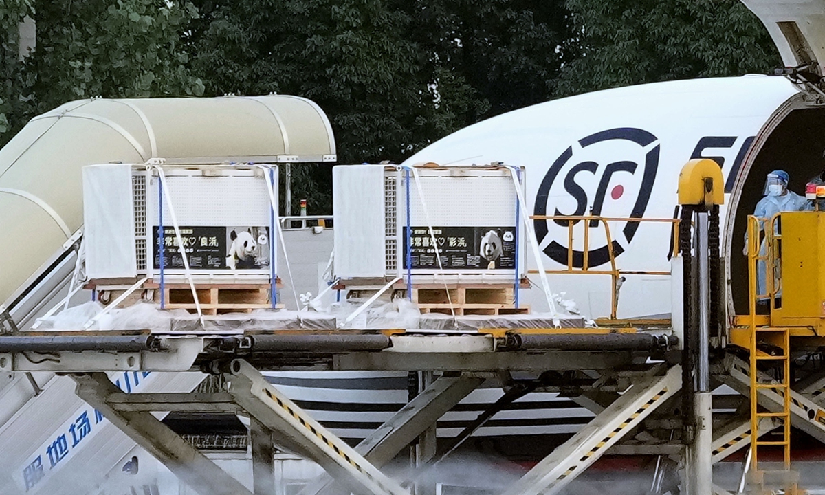 A chartered plane carrying all four giant pandas loaned to the Adventure World amusement park in Japan's Wakayama Prefecture arrives at an airport in Chengdu in China's Sichuan Province on June 28, 2025. The four are headed for a giant panda breeding center in Chengdu, with their lease agreement set to expire in August. Photo: VCG