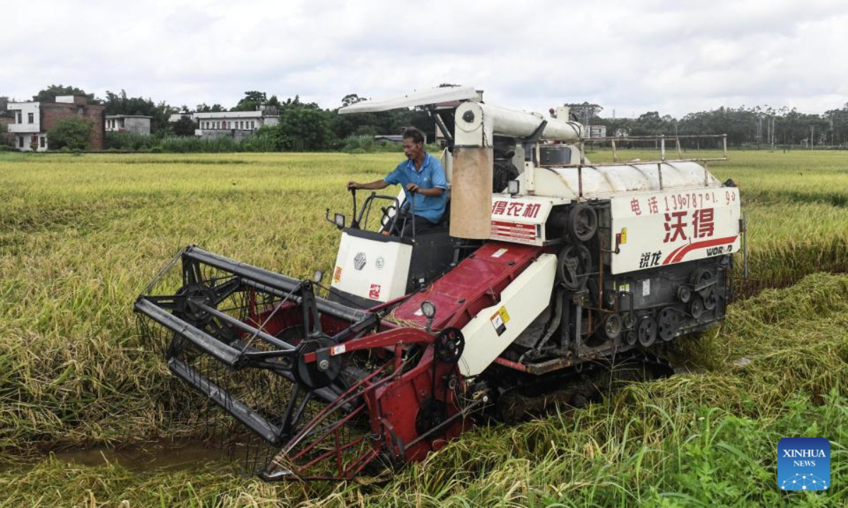 A farmer drives a harvester reaping rice in Banping Village in Kangxiling Town of Qinzhou City, south China's Guangxi Zhuang Autonomous Region, July 2, 2025. Early rice harvest is in full swing here. (Xinhua/Zhang Ailin)
