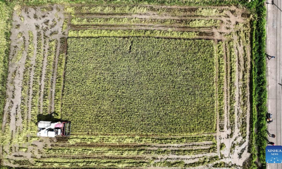 An aerial drone photo taken on July 2, 2025 shows a harvester reaping rice in Banping Village in Kangxiling Town of Qinzhou City, south China's Guangxi Zhuang Autonomous Region. Early rice harvest is in full swing here. (Xinhua/Zhang Ailin)