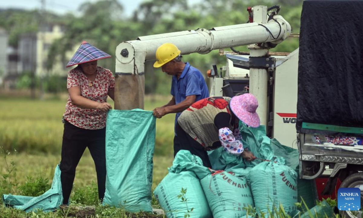 Farmers pack harvested rice in Banping Village in Kangxiling Town of Qinzhou City, south China's Guangxi Zhuang Autonomous Region, July 2, 2025. Early rice harvest is in full swing here. (Xinhua/Zhang Ailin)