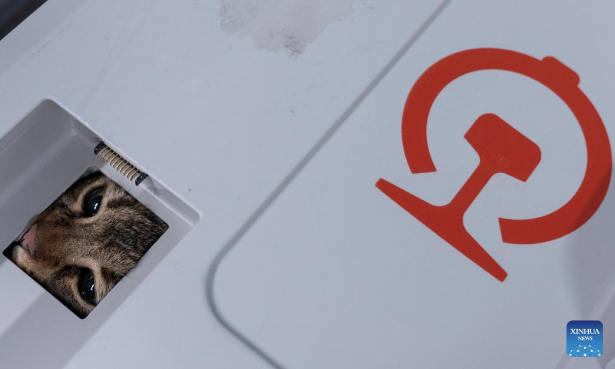 A pet cat looks outside in a transport case at Wuhan Railway Station in Wuhan, central China's Hubei Province, July 1, 2025. On the first day of this year's summer travel rush, some qualified domesticated cats and dogs boarded on bullet trains accompanying their owners in Wuhan on Tuesday, as the pilot pet consignment service on high-speed railways expanded its scope from June 20.

Each traveler is allowed to bring one healthy pet weighing no more than 15 kilograms and standing no taller than 40 centimeters at the shoulder, accompanied by a valid quarantine certificate, according to China State Railway Group Co., Ltd. (Xinhua/Wu Zhizun)