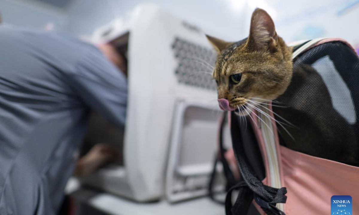 A passenger arranges a transport case for his cat at Wuhan Railway Station in Wuhan, central China's Hubei Province, July 1, 2025. On the first day of this year's summer travel rush, some qualified domesticated cats and dogs boarded on bullet trains accompanying their owners in Wuhan on Tuesday, as the pilot pet consignment service on high-speed railways expanded its scope from June 20.

Each traveler is allowed to bring one healthy pet weighing no more than 15 kilograms and standing no taller than 40 centimeters at the shoulder, accompanied by a valid quarantine certificate, according to China State Railway Group Co., Ltd. (Xinhua/Wu Zhizun)