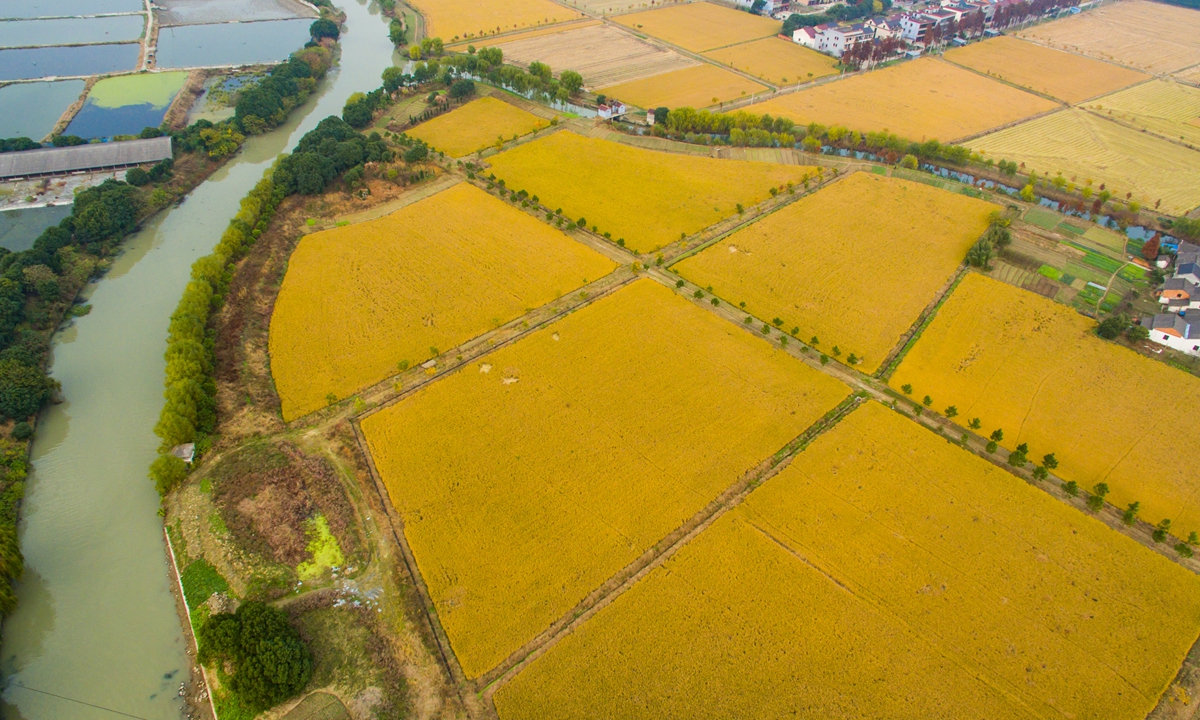 A river section monitored and managed by AI technology in Tongxiang county, East China's Zhejiang Province. Photo: Courtesy of Gu Hongli