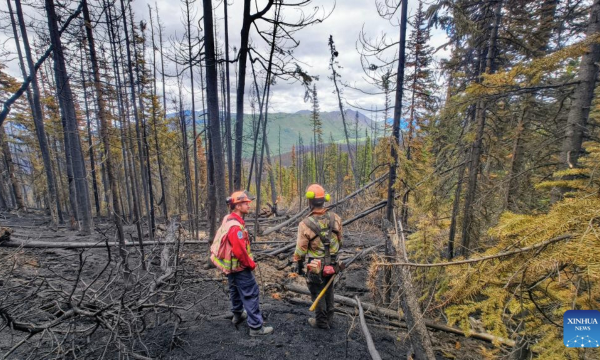 This photo provided by British Columbia Wildfire Service on July 2, 2025 shows two firefighters working at a wildfire site in northwestern British Columbia, Canada. (Xinhua)