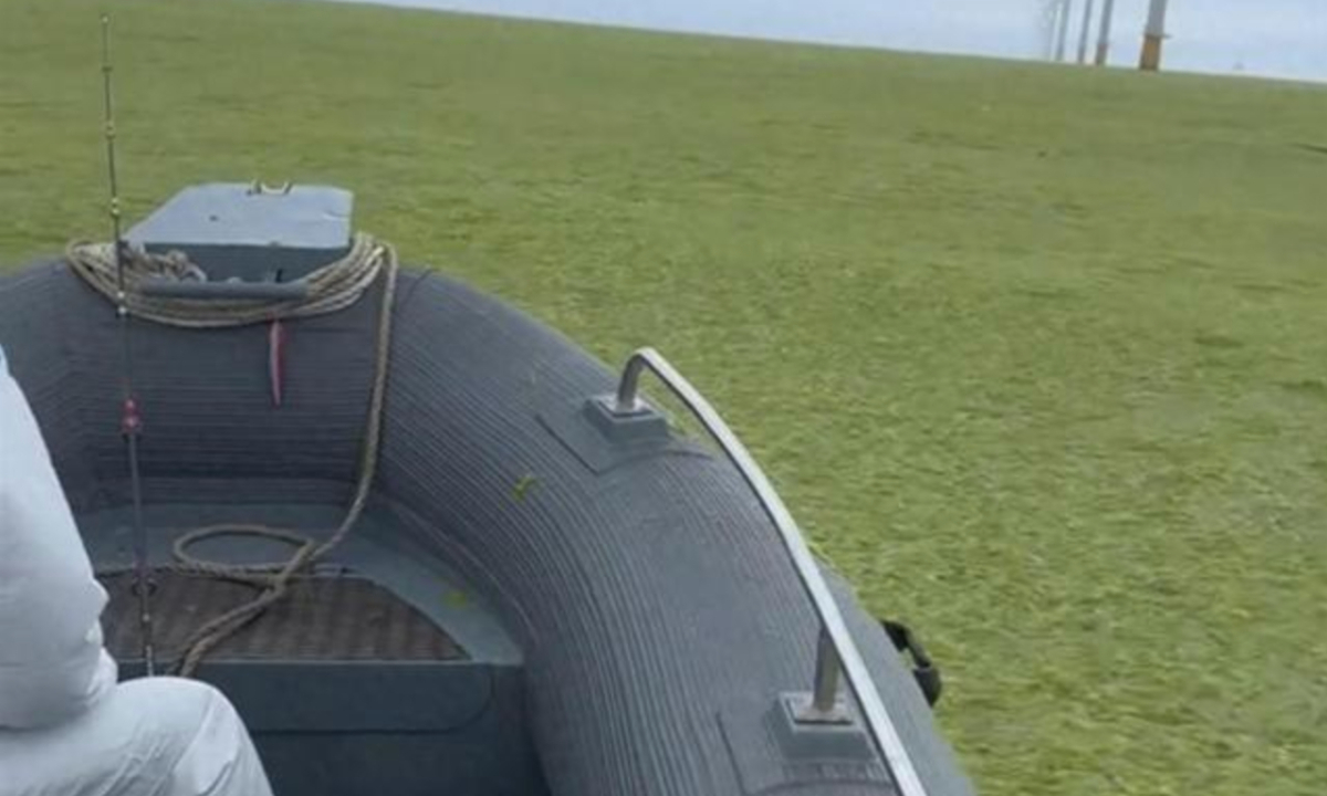 In parts of Yantai, East China’s Shandong Province, the sea and beaches have been blanketed by seaweed. Photo:web