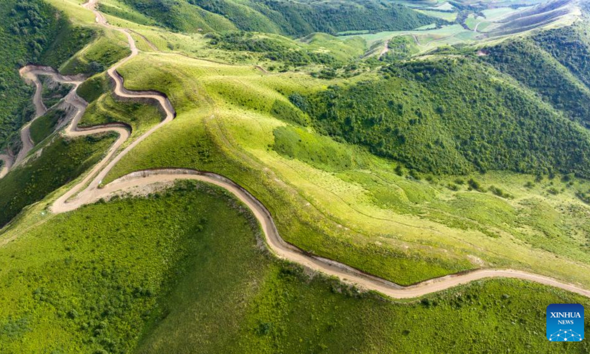 An aerial drone photo taken on July 17, 2025 shows the Madong Mountain forest farm blanketed in lush green vegetation in Yuanzhou District of Guyuan City, northwest China's Ningxia Hui Autonomous Region. In recent years, Ningxia has leveraged major national ecological projects such as