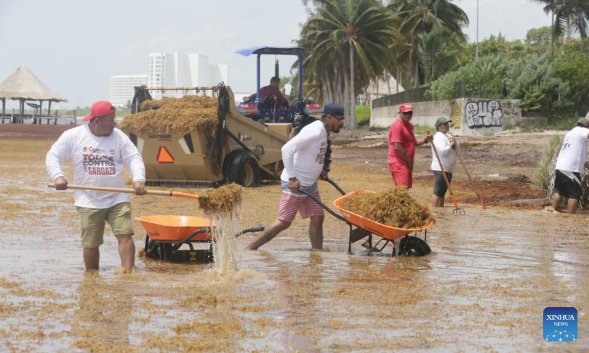 Staff members clear sargassum seaweed at a beach in Cancun, Quintana Roo state, Mexico, July 14, 2025.

Beaches around famed tourist destination Cancun are being inundated by sargassum, a brown seaweed. (Photo by Rodolfo Flores/Xinhua)