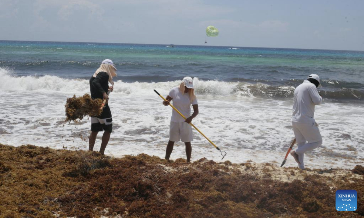 Staff members clear sargassum seaweed at a beach in Cancun, Quintana Roo state, Mexico, July 14, 2025.

Beaches around famed tourist destination Cancun are being inundated by sargassum, a brown seaweed. (Photo by Rodolfo Flores/Xinhua)