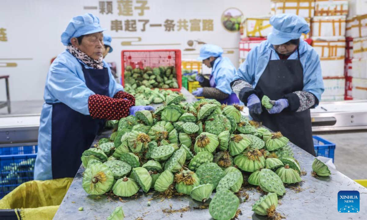 Villagers sort lotus seeds at a workshop in Chendian Village of Daciyan Town, Jiande City, east China's Zhejiang Province, July 18, 2025. Over 2,300 households in Daciyan Town of Jiande are engaged in lotus cultivation. The lotus planting area in the town has reached 634.4 hectares, with an annual lotus seed yield of 748 tonnes. The town's annual output value of the entire industrial chain concerning lotus cultivation reaches 300 million yuan (about 41.8 million U.S. dollars). (Xinhua/Xu Yu)