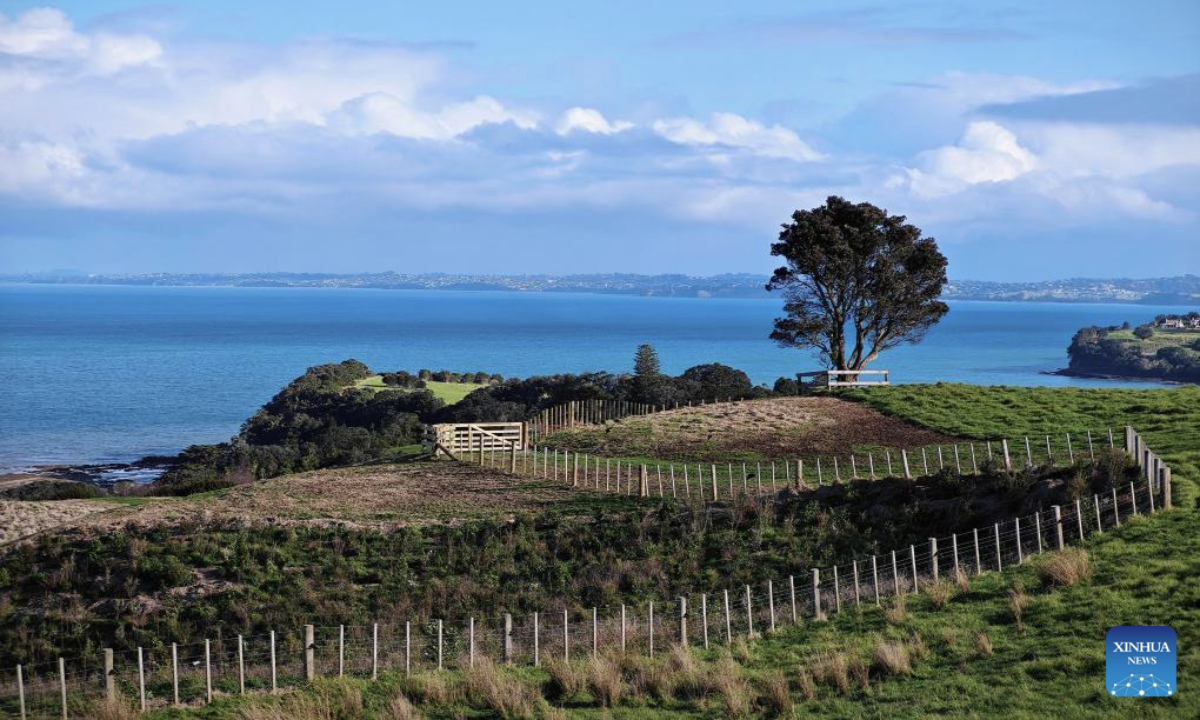 This photo taken on June 29, 2025 shows the winter scenery in North Island, New Zealand. (Photo by Wu Jiaxiang/Xinhua)