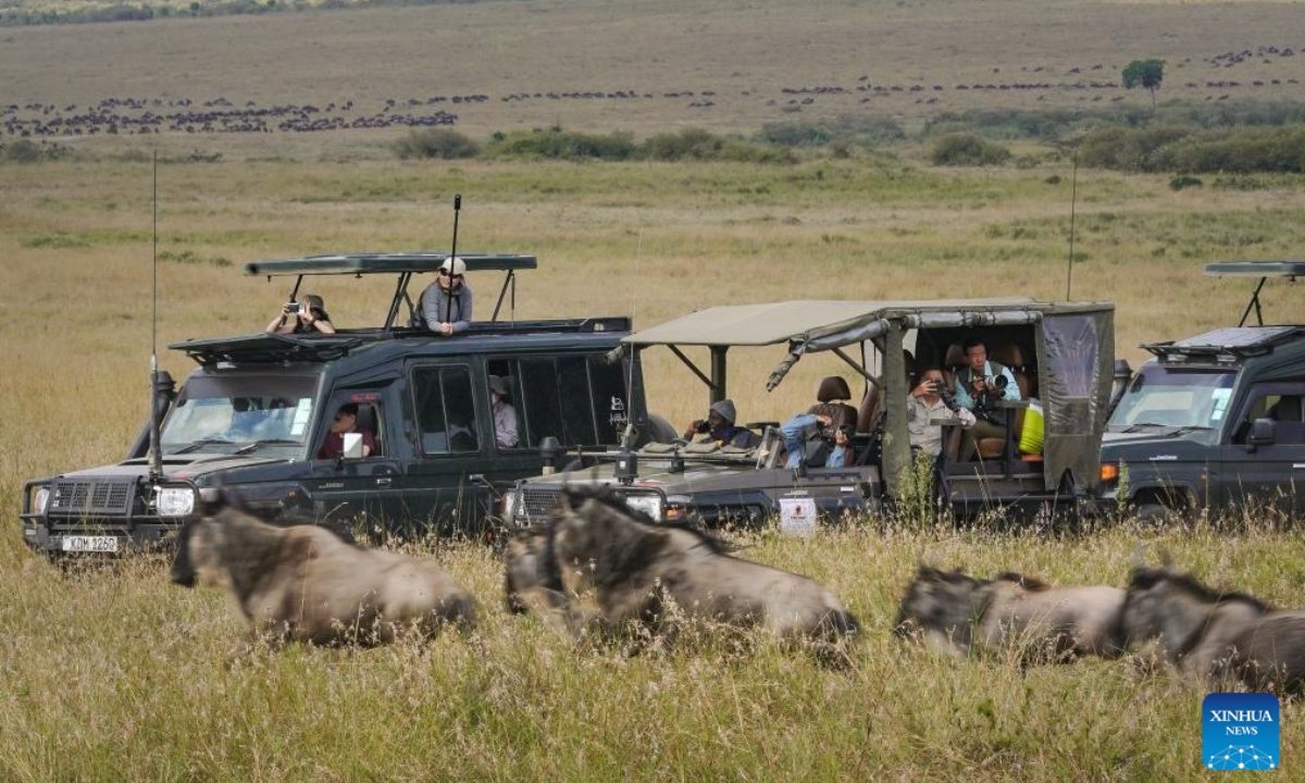 Tourists explore the Masai Mara National Reserve in Kenya, July 30, 2025. Tourists flock to the Masai Mara National Reserve during the country's peak tourism season from June to October to watch the wildebeest migration. (Xinhua/Han Xu)