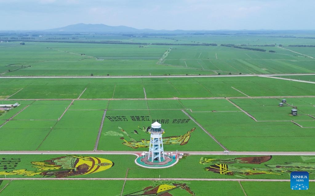 An aerial drone photo taken on July 3, 2025 shows a paddy field park in Fujin City, northeast China's Heilongjiang Province. At present, in the rice producing areas of Heilongjiang Province, various magnificent rice field pictures drawn by different varieties of rice are unfolding on the vast black soil. (Photo: Xinhua)