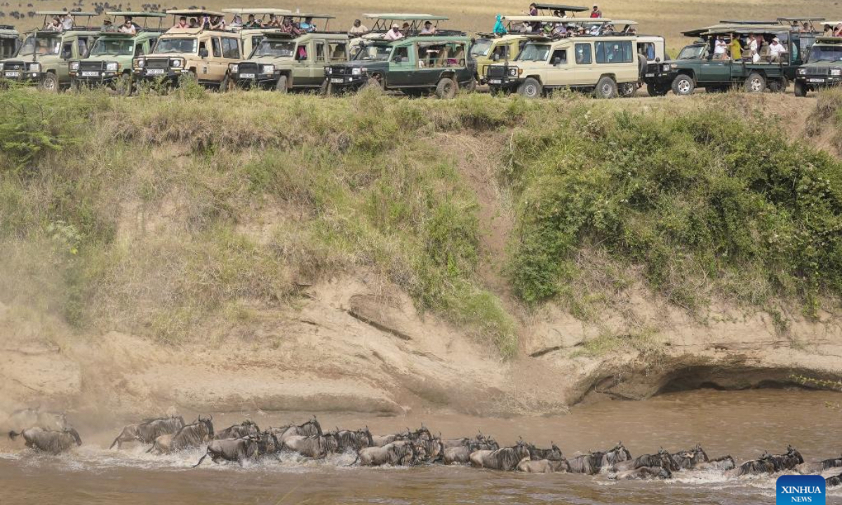Tourists gather near the Mara River to watch wildebeests crossing in the Masai Mara National Reserve in Kenya, July 30, 2025. Tourists flock to the Masai Mara National Reserve during the country's peak tourism season from June to October to watch the wildebeest migration. (Xinhua/Han Xu)