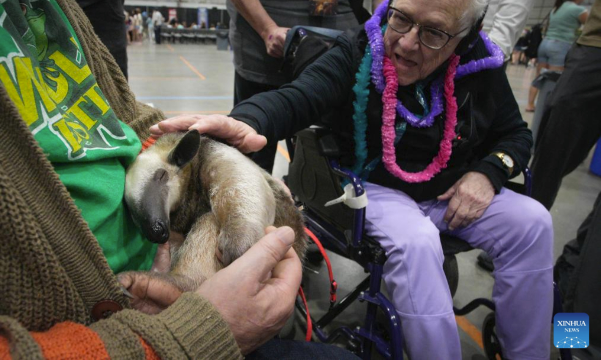 A senior touches a resting anteater during the Wildlife Festival in Abbotsford, British Columbia, Canada, July 11, 2025. The three-day event kicked off Friday, showcasing exotic species from around the world. (Photo by Liang Sen/Xinhua)