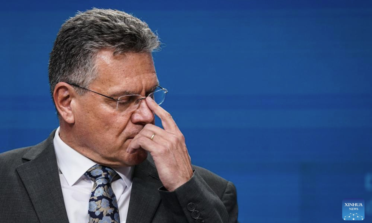 EU welcomes China's one-year rare earth export controls suspension; expert says message highlights EU reliance, concern