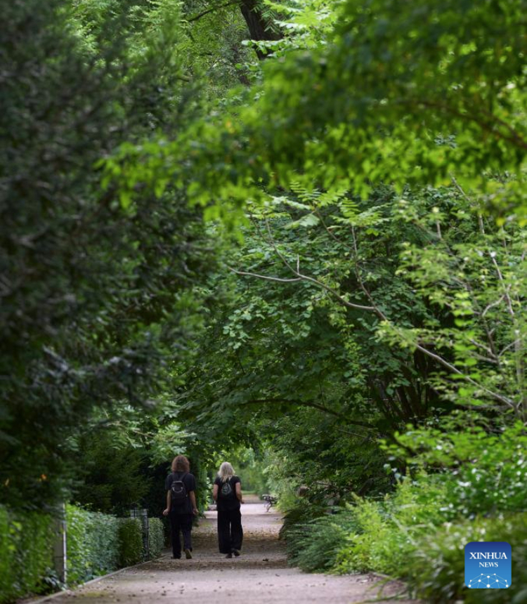 Two visitors stroll down a shaded path at the botanic garden of University of Warsaw in Warsaw, Poland on July 16, 2025. (Photo by Jaap Arriens/Xinhua)