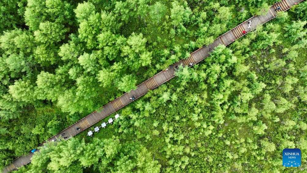 An aerial drone photo taken on July 5, 2025 shows tourists visiting the national forest park in Arxan of Hinggan League, north China's Inner Mongolia Autonomous Region. Arxan, located at the southwestern foot of the Dahinggan Mountains and at the intersection of four major grasslands, is an increasingly popular tourist destination. (Photo: Xinhua)