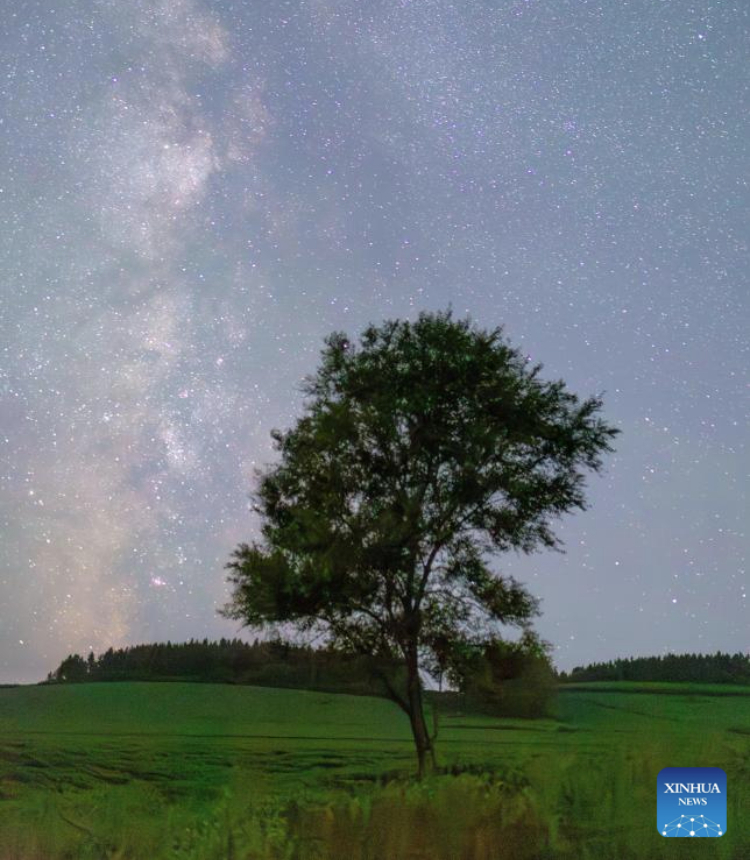 This photo taken on July 22, 2025 shows the Milky Way in Jiamusi City, northeast China's Heilongjiang Province. (Photo by Chen Zhiguo/Xinhua)