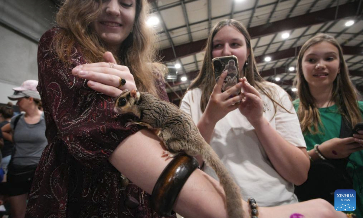 A teenage girl interacts with a sugar glider during the Wildlife Festival in Abbotsford, British Columbia, Canada, July 11, 2025. The three-day event kicked off Friday, showcasing exotic species from around the world. (Photo by Liang Sen/Xinhua)