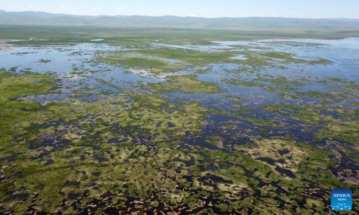 This aerial drone photo taken on July 11, 2025 shows the Gahai wetland in Luqu County of the Tibetan Autonomous Prefecture of Gannan, northwest China's Gansu Province. Brown-headed gulls at the Gahai wetland attracted many tourists in summer. (Xinhua/Ma Ning)