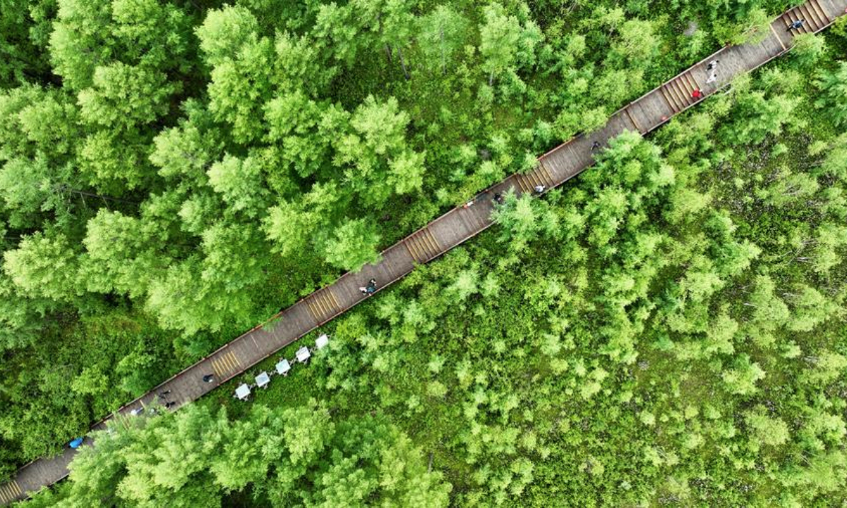 An aerial drone photo taken on July 5, 2025 shows tourists visiting the national forest park in Arxan of Hinggan League, north China's Inner Mongolia Autonomous Region. (Xinhua/Bei He)