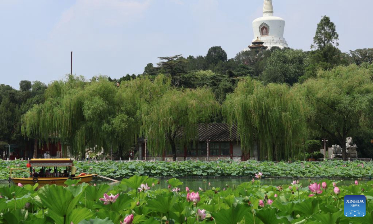 Lotus flowers are in full bloom at Beihai Park in Beijing, capital of China, on July 22, 2025. The 12th of traditional Chinese 24 solar terms, Dashu, or The Great Heat, which means the hottest day in the summer, fell on July 22 this year. Lotus flowers are in full bloom in many places across China on the day. (Xinhua/Dai Mingxuan)