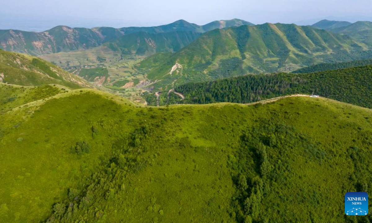 A drone photo taken on July 17, 2025 shows the Madong Mountain forest farm blanketed in lush green vegetation in Yuanzhou District of Guyuan City, northwest China's Ningxia Hui Autonomous Region. In recent years, Ningxia has leveraged major national ecological projects such as