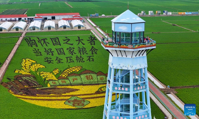 An aerial drone photo taken on July 3, 2025 shows a paddy field park in Fujin City, northeast China's Heilongjiang Province. At present, in the rice producing areas of Heilongjiang Province, various magnificent rice field pictures drawn by different varieties of rice are unfolding on the vast black soil. (Photo: Xinhua)