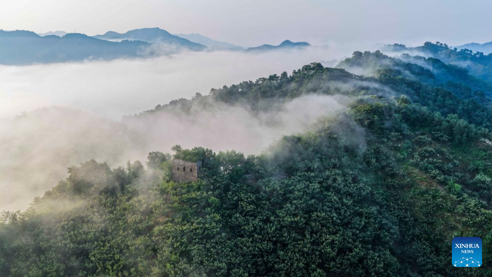 An aerial drone photo taken on Aug. 1, 2025 shows a view of the Great Wall in Zunhua City, north China's Hebei Province. (Photo by Liu Mancang/Xinhua)