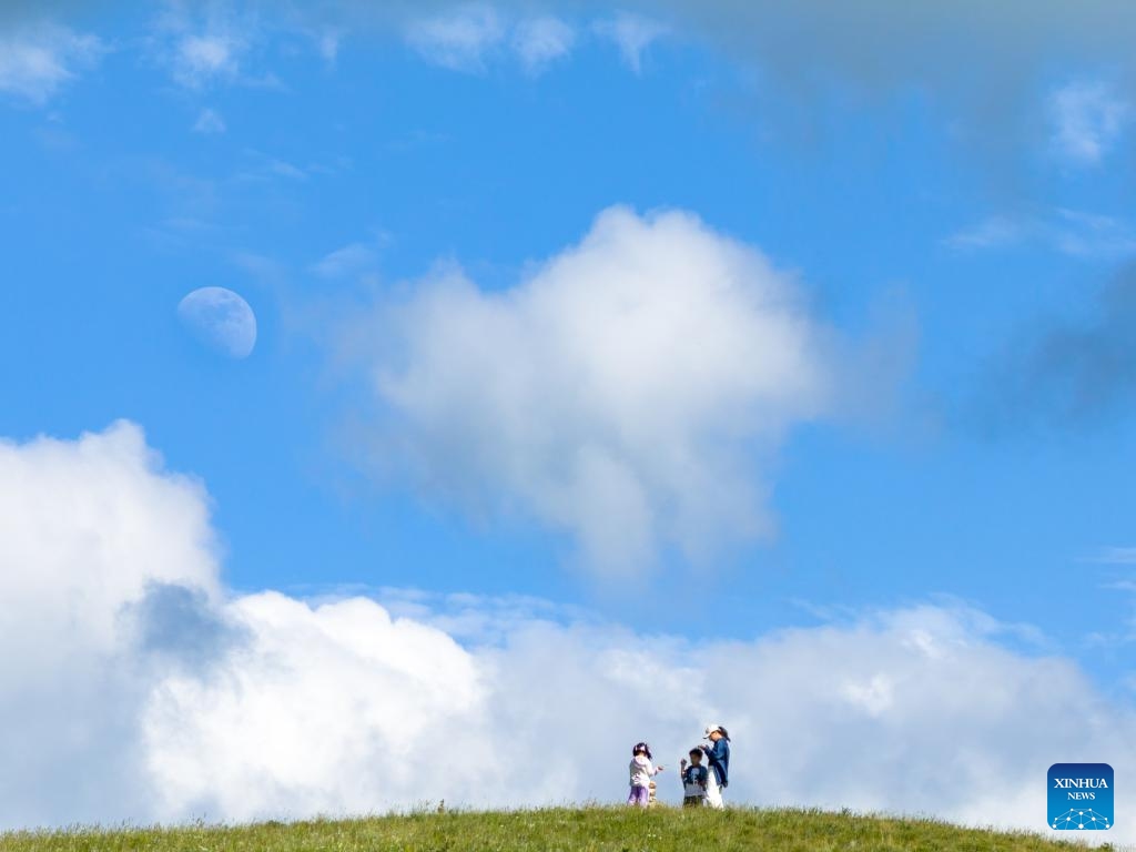 A drone photo taken on July 5, 2025 shows tourists enjoying themselves at a grassland at Huanghuawopu Village in Hohhot, north China's Inner Mongolia Autonomous Region. (Photo: Xinhua)