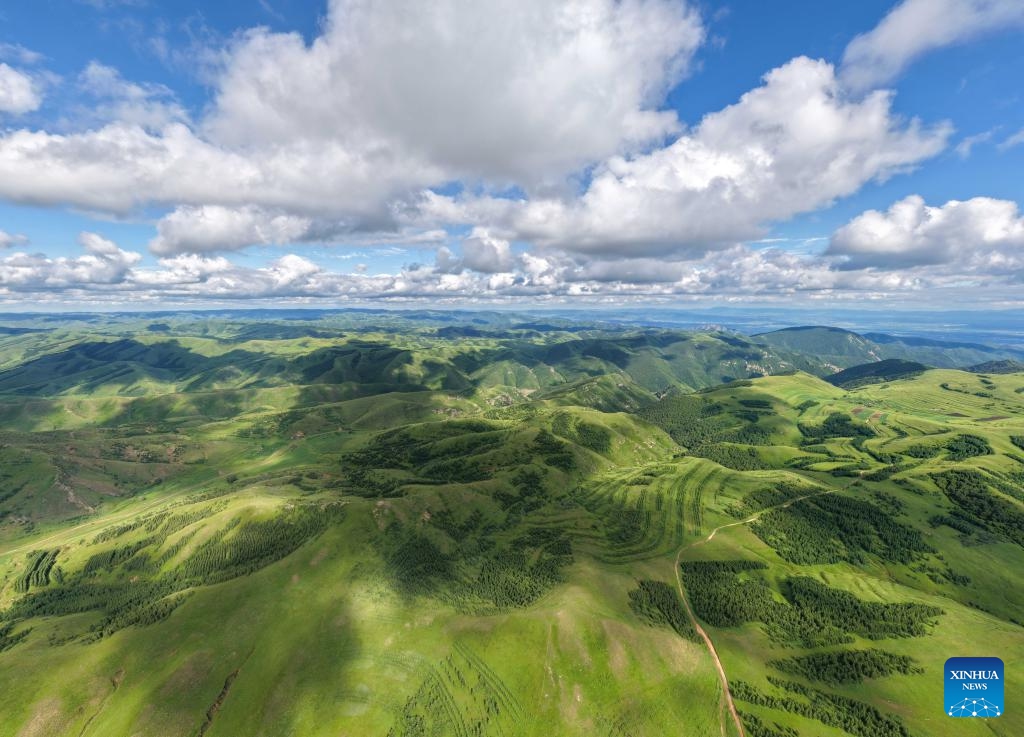 This stitched aerial drone photo taken on July 5, 2025 shows the scenery of a grassland at Huanghuawopu Village in Hohhot, north China's Inner Mongolia Autonomous Region. (Photo: Xinhua)