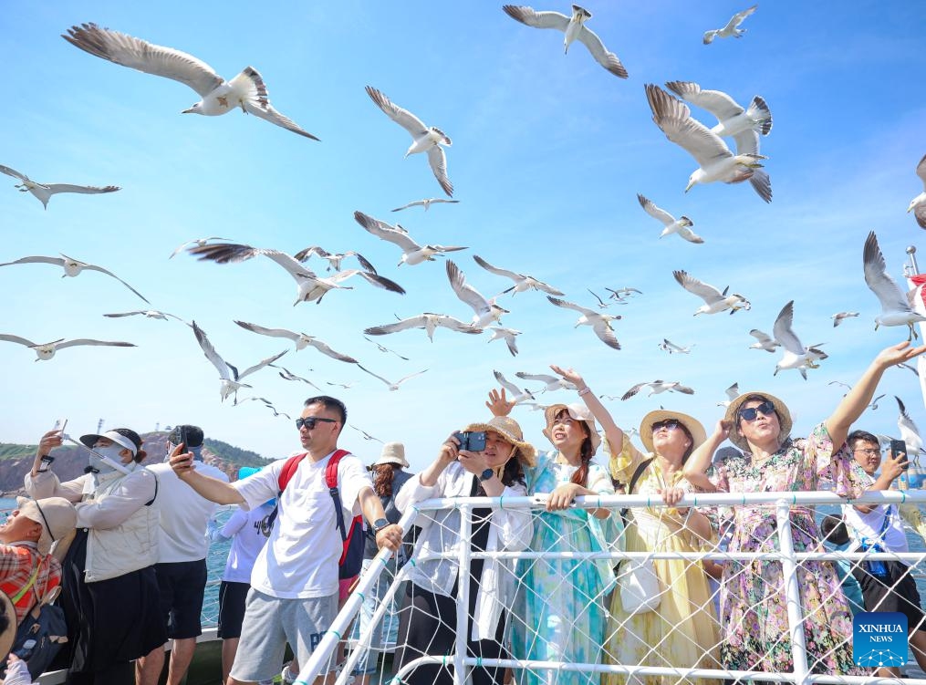 Tourists interact with black-tailed gulls on a tourist boat in Rongcheng City, east China's Shandong Province, July 5, 2025. With the arrival of summer vacation, many places in China have entered the peak tourist season. (Photo: Xinhua)