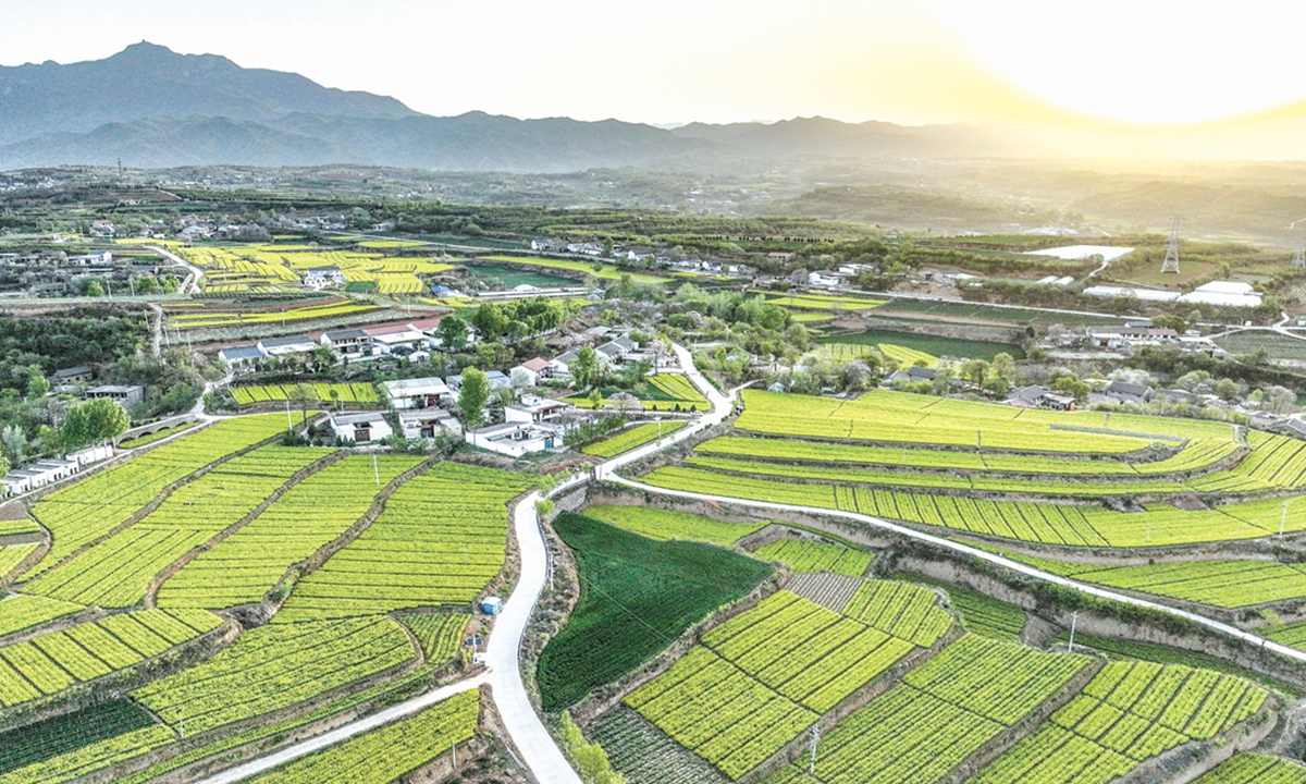 Flower fields, farmland, and rural houses in Central China's Henan Province?Photo: VCG