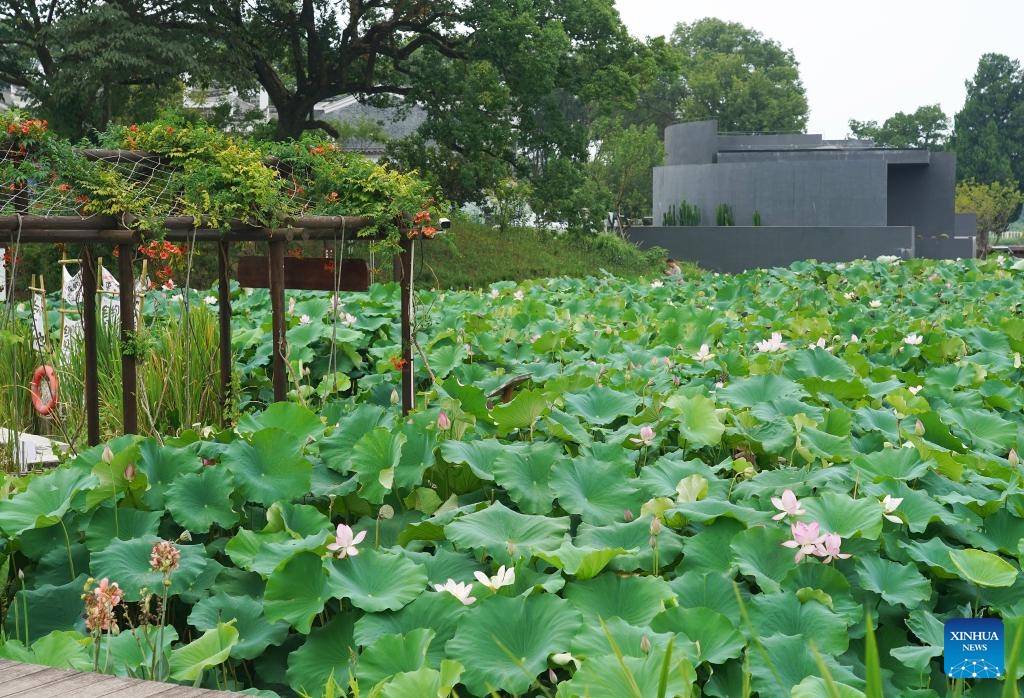 This photo taken on July 9, 2025 shows a view of Diaoyuan Ancient Village in Ji'an, east China's Jiangxi Province. Tucked into the undulating hills of Ji'an City in east China's Jiangxi Province, Diaoyuan Village has stood for over 1,100 years -- the layout from above bearing a striking resemblance to a Taoist Tai Chi diagram. (Photo: Xinhua)