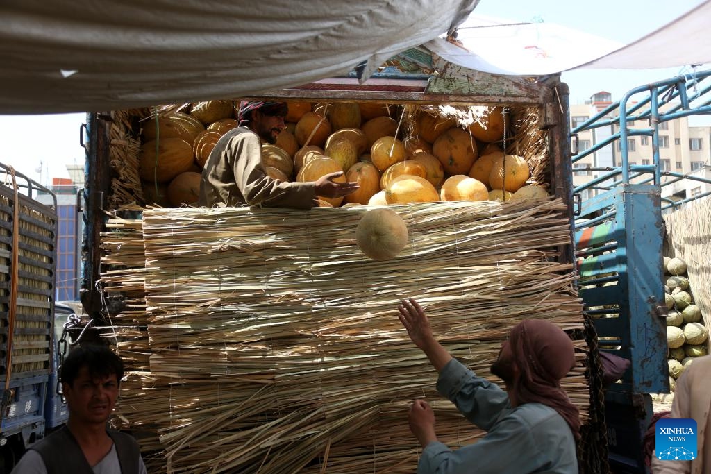 Vendors unload melons at a local market in Kabul, Afghanistan, July 10, 2025. Melon is one of Afghanistan's most renowned and widely exported fruits, cultivated across various provinces in the country. Afghanistan's hot and dry climate provides ideal conditions for growing fragrant and sweet melons. (Photo: Xinhua)