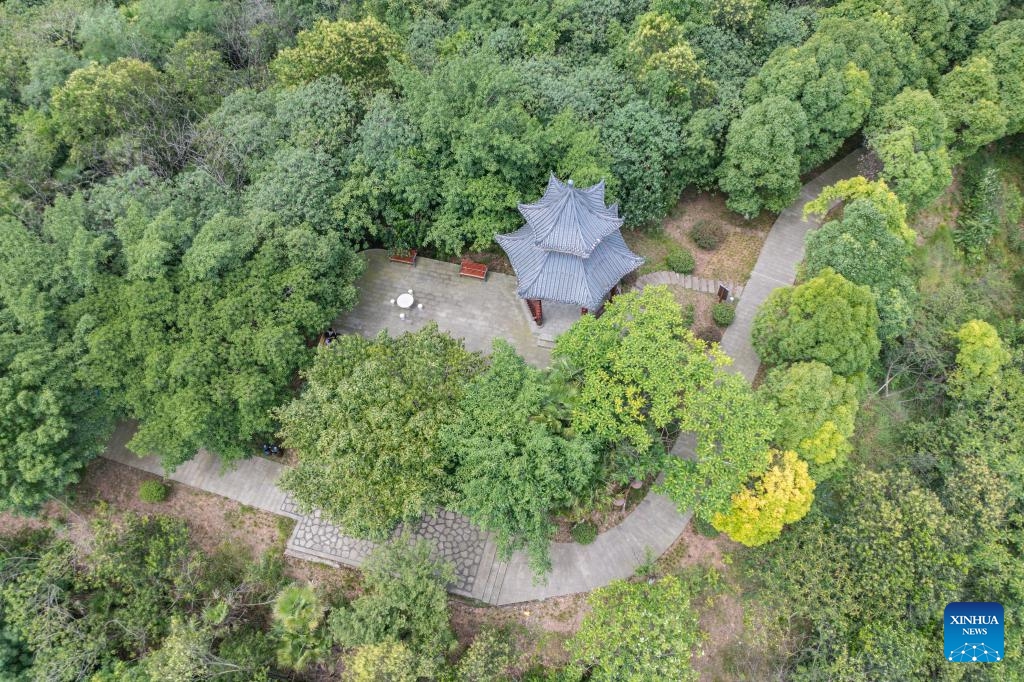 This aerial drone photo taken on July 3, 2025 shows the view of a park in Jiangjin District of southwest China's Chongqing Municipality. Jiangjin is located in a strategic point along the Yangtze River. City buildings have been constructed along the slopes on the river banks. From a distance, they appear like a forest growing from the cliffs. In recent years, Jiangjin has promoted the ecological management of the Yangtze River. The improvement of water quality has attracted rare fish species to return. (Photo: Xinhua)
