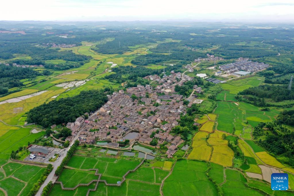 An aerial drone photo taken on July 9, 2025 shows a view of Zhuqiao Village in Jinxi County of Fuzhou, east China's Jiangxi Province. Jinxi County, with centuries-long history, still preserves over 100 ancient villages dating back to the Ming and Qing dynasties (1368-1911), which has won the county fame as an ancient village museum without bounding walls. Zhuqiao is a prominent representative among the villages, featuring 109 existing ancient buildings from the Ming and Qing dynasties. (Photo: Xinhua)