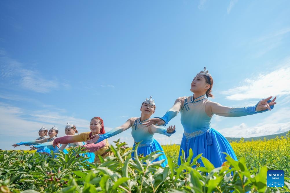 Actresses perform in a rapeseed flower field in Ergun of Hulun Buir, north China's Inner Mongolia Autonomous Region, July 12, 2025. (Photo: Xinhua)