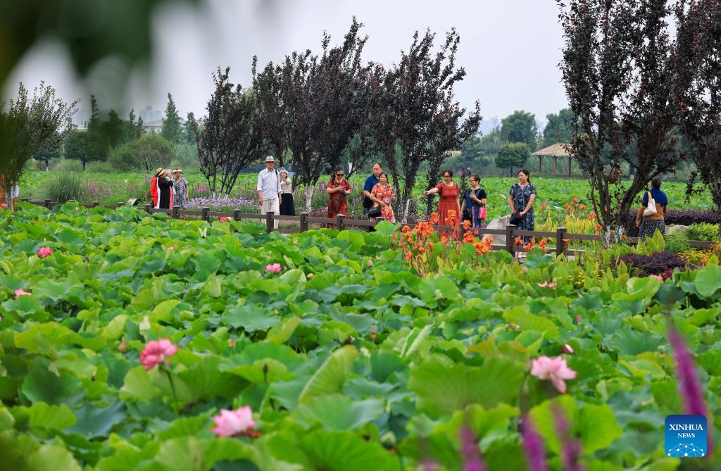 Tourists visit a park in Qujing, southwest China's Yunnan Province, July 12, 2025. Tourist destinations in Yunnan entered their peak tourism season as summer vacation began. (Photo: Xinhua)