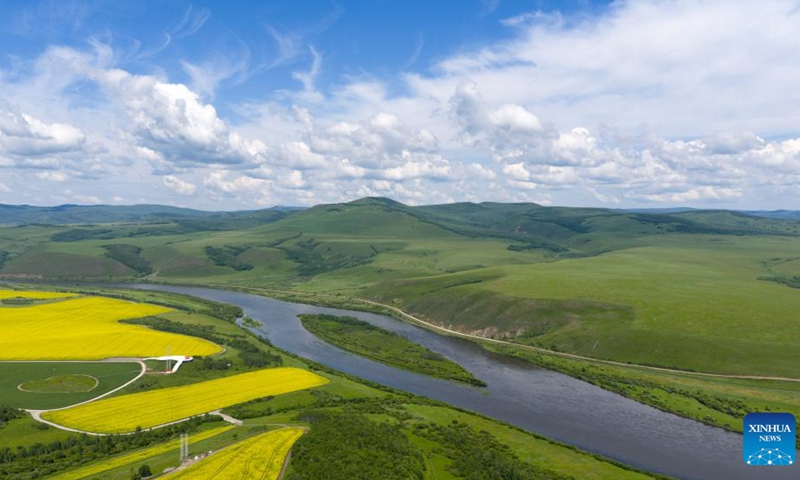 An aerial drone photo shows a rapeseed flower field and the Ergun River in Ergun of Hulun Buir, north China's Inner Mongolia Autonomous Region, July 12, 2025. (Photo: Xinhua)