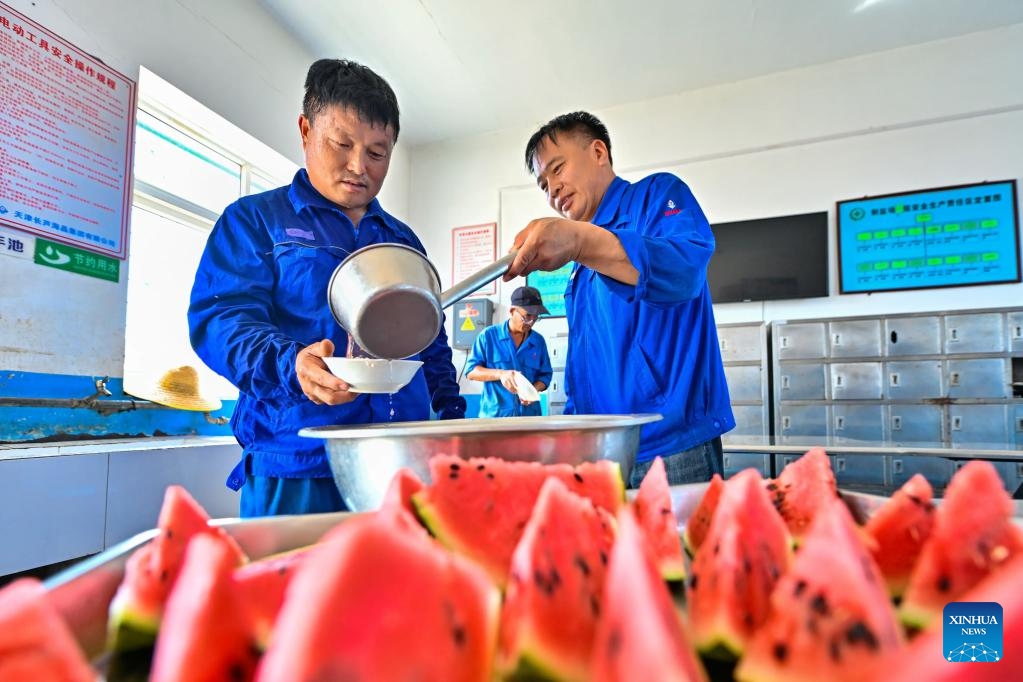 Workers have mung bean soup as a summer refreshment at a salt field in north China's Tianjin Municipality, July 13, 2025. A heatwave is sweeping multiple regions in China, prompting authorities to roll out measures to ensure job safety and stable production. (Photo: Xinhua)