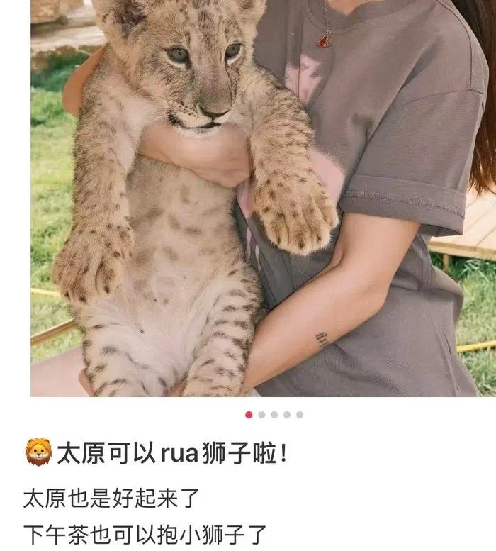 Photo: Screenshot shared by a netizen on the social platform