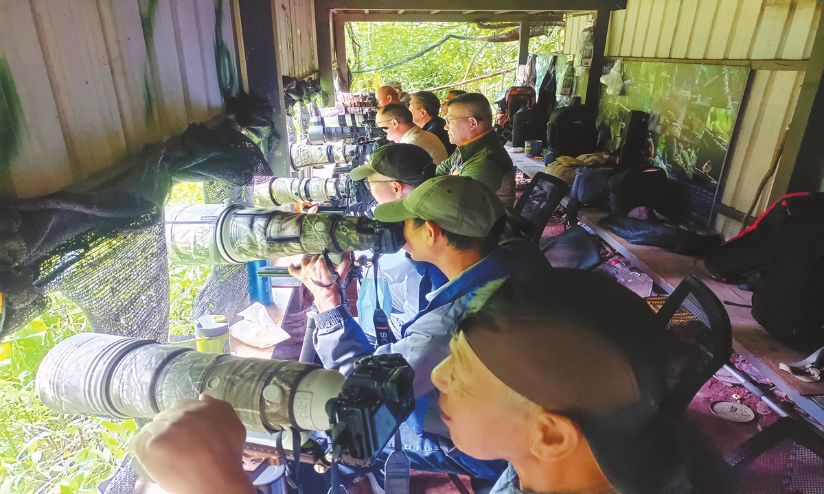 Birdwatchers use telephoto lenses to photograph birds from a distance at Piao Hai's birding site. Photo: Courtesy of Piao Hai