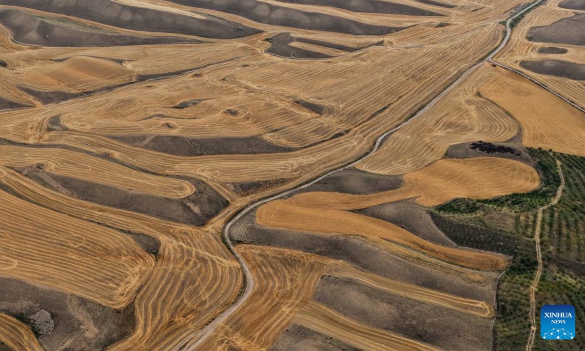 An aerial drone photo taken on July 31, 2025 shows wheat fields in Tekes County, Ili Kazak Autonomous Prefecture, northwest China's Xinjiang Uygur Autonomous Region. Mature wheat is ready for harvest in Tekes. Local farmers are seizing favorable weather conditions to conduct summer harvesting. (Xinhua/Zhao Yusi)