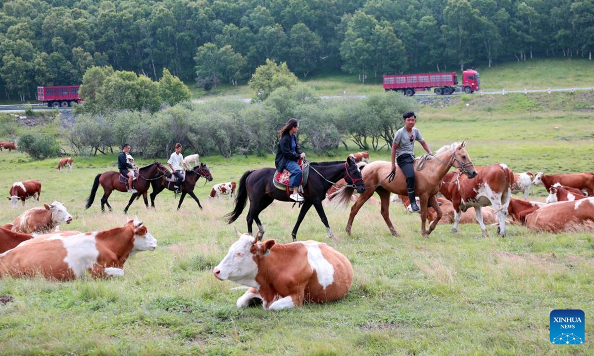 Tourists ride horses on a grassland in Hexigten Banner of Chifeng City, north China's Inner Mongolia Autonomous Region, July 24, 2025. (Xinhua/Hou Jun)


