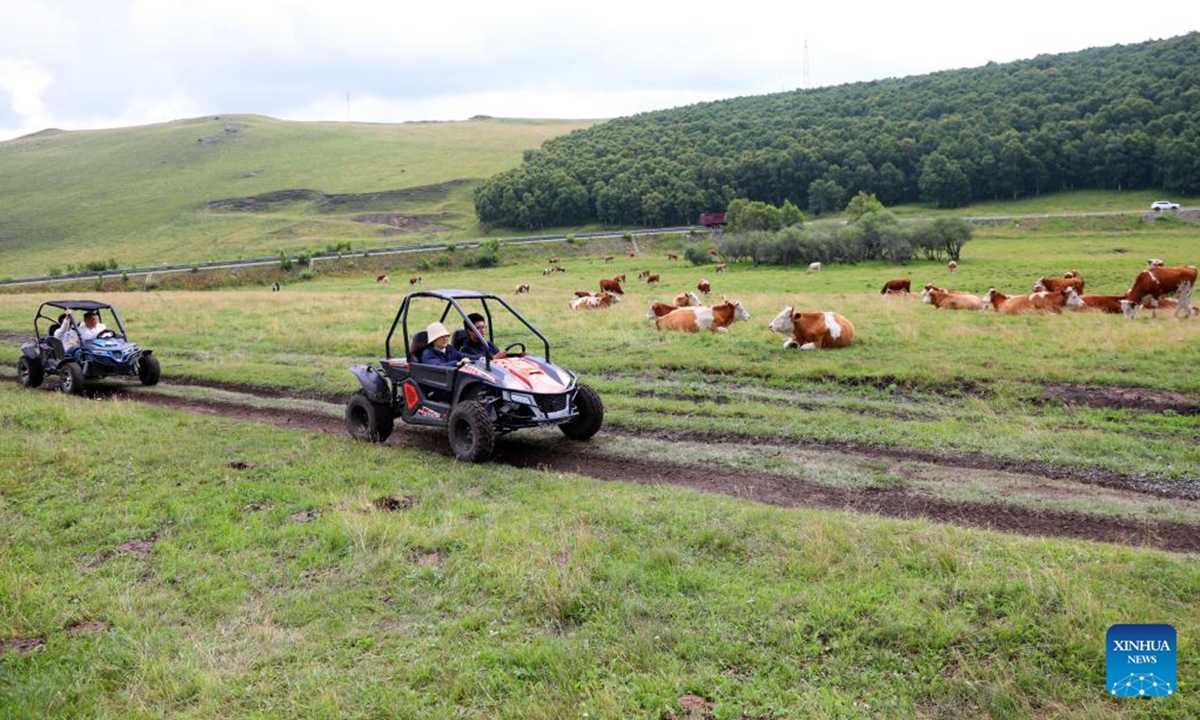 Tourists ride a grassland sightseeing vehicle on a grassland in Hexigten Banner of Chifeng City, north China's Inner Mongolia Autonomous Region, July 24, 2025. (Xinhua/Hou Jun)


